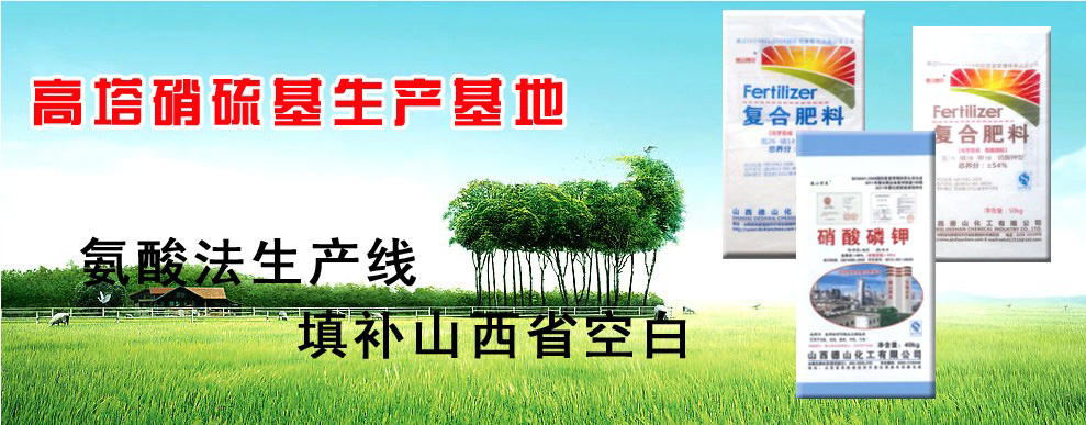 山西德山化工有限公司