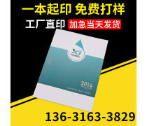 動漫設計宣傳畫冊 創意與視覺的完美融合